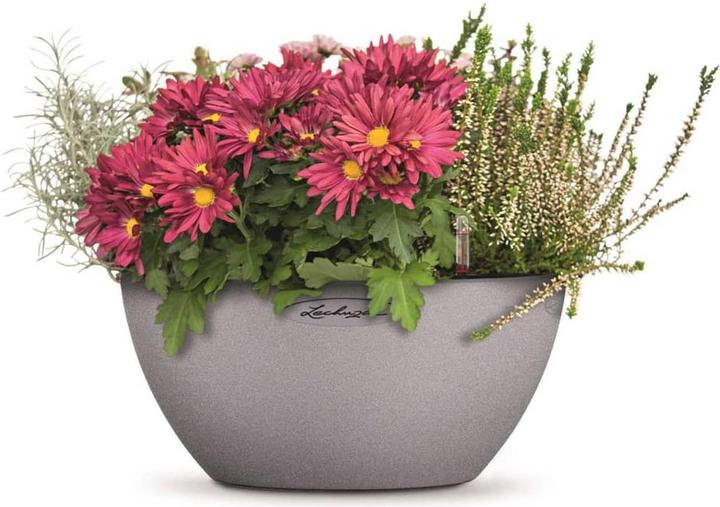 Image du produit Lechuza Cubeto Color (30 cm)
