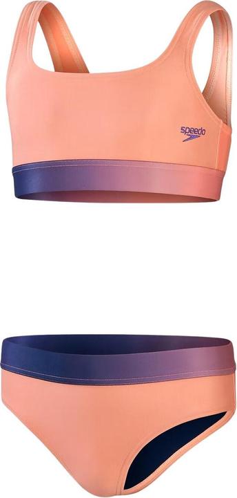 Produktbild Speedo Contrast Band (11, 12)