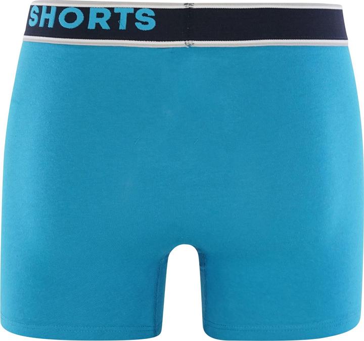 Image du produit Phil & Co. Berlin Retro Pants All Styles (XL, paquet de 4)