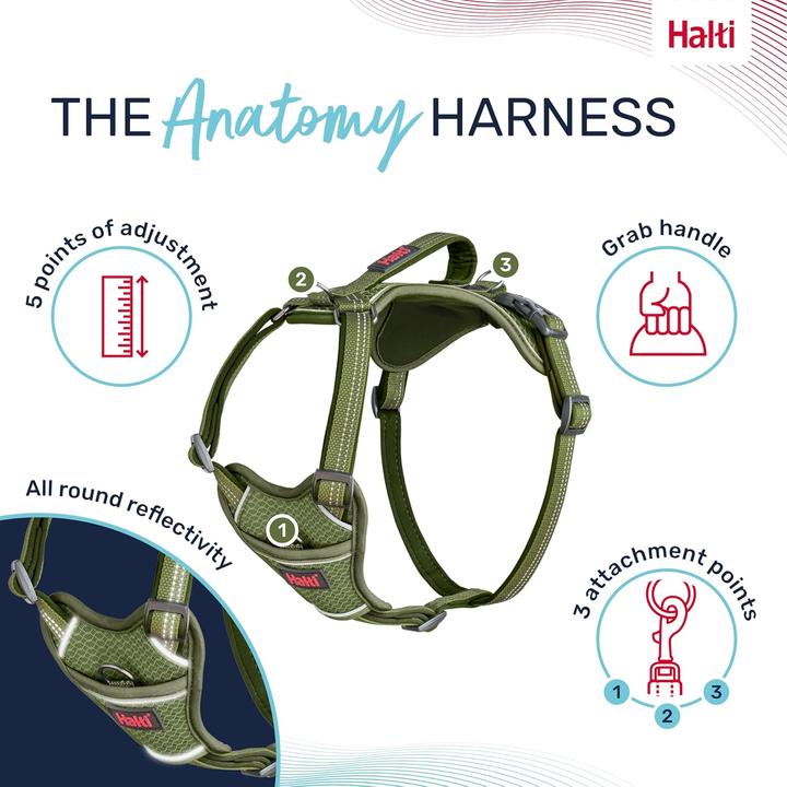 Image du produit Company of Animals Halti Anatomy XL Harnais pour chien (XL, Chien)