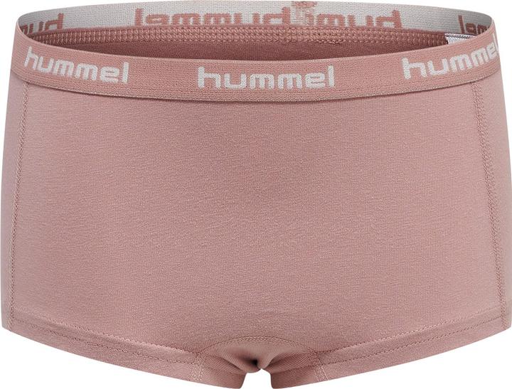 Immagine prodotto hummel Hmlcarolina Hipsters 2-Pack (22, 23, 24, 25, 26, 27, 28, Confezione da 2)