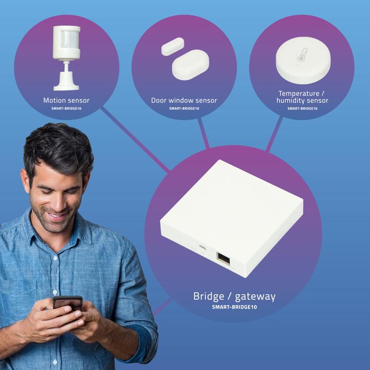 Actual product image Alecto Control unit Smart-Bridge10