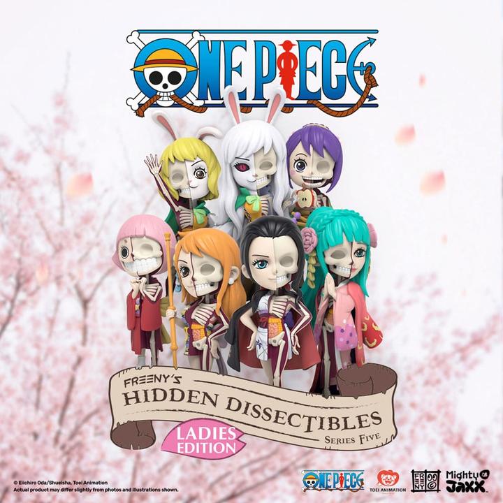 Produktbild Mighty Jaxx One Piece présentoir Blind Box Hidden Dissectibles Series 5 (Ladies ed.) (6)