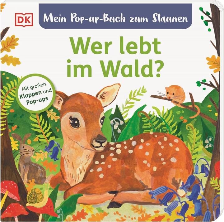 Produktbild Mein Pop-up-Buch zum Staunen. Wer lebt im Wald? (Deutsch)