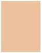 Immagine prodotto MAC Cosmetics Fondotinta Studio Fix Powder Plus (C5.5)