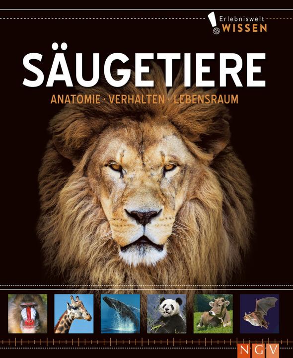 Produktbild Erlebniswelt Wissen Säugetiere (Deutsch, 2022)