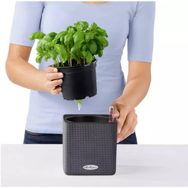 Produktbild Lechuza Cube (17 cm)