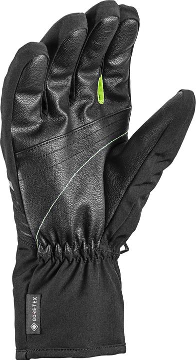 Image du produit Leki Vision GTX (8.5)