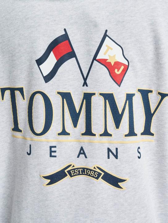Immagine prodotto Tommy Hilfiger Tjm Skater Prep Back Hoodie (M)