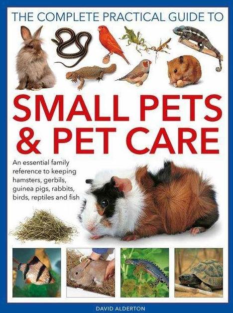 Produktbild Small Pets and Pet Care, The Complete Practical Guide to (Englisch, David Alderton, 2022)