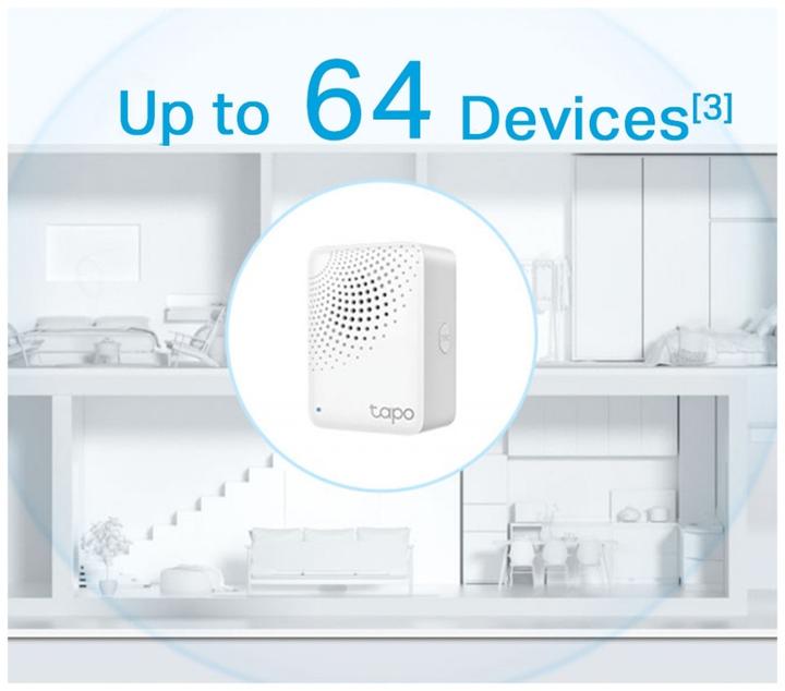 Actual product image TP-Link Tapo H100