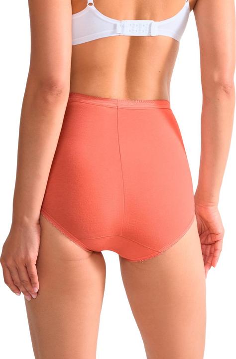 Immagine prodotto Sloggi Unterhose BASIC+ MAXI Damen-Slip 3er Pack (48, confezione da 3)