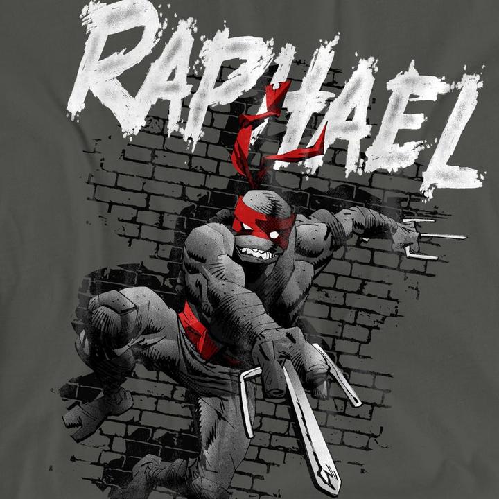 Actual product image Teenage Mutant NT Unisex Adult Raphael T-Shirt (M)