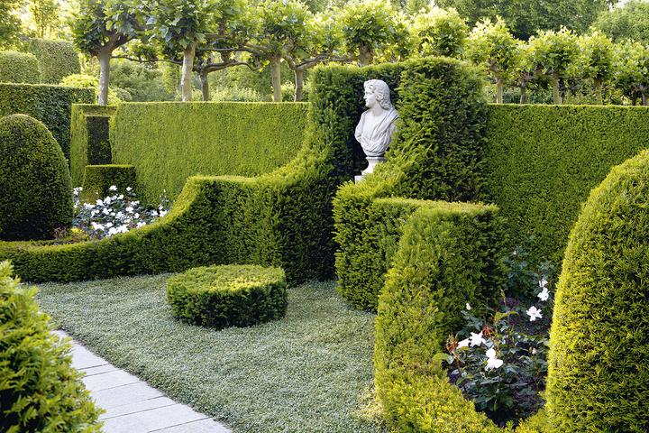 Produktbild Sichtschutz im Garten (Deutsch, Manuel Sauer, 2011)