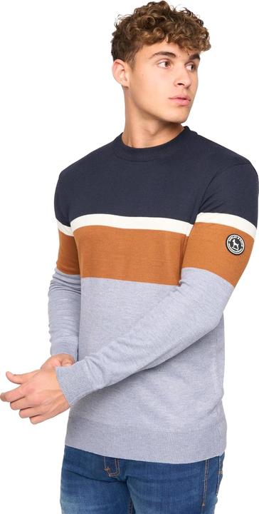 Actual product image Bewley & Ritch Mens Easedale Knitted Crew Neck Jumper (XL)