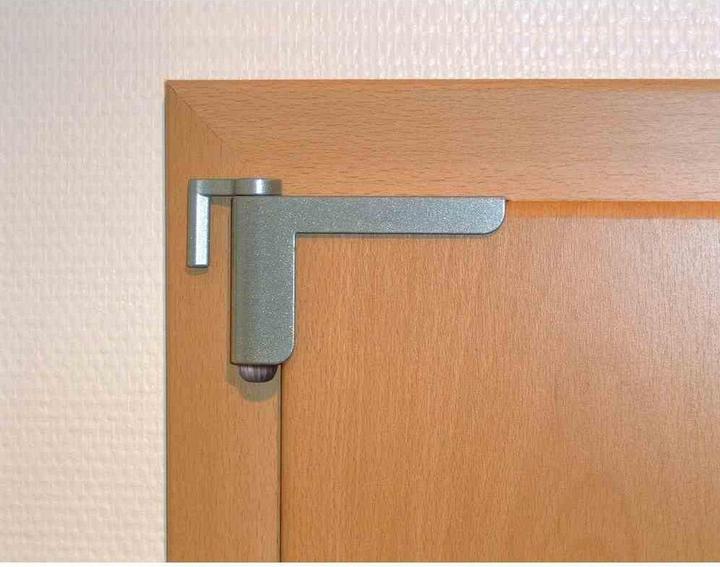 Actual product image Abus Door closer silver ABTS44182 (Indoor)