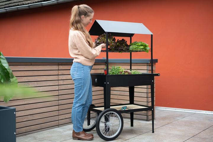 Actual product image Herstera Trolley Retail