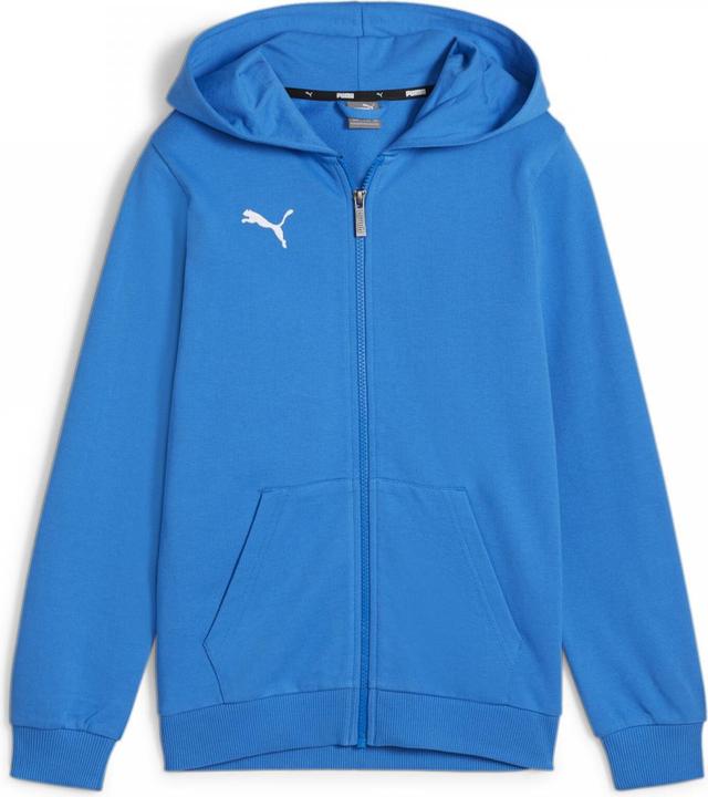 Image du produit Puma teamGOAL Casuals Veste à capuche Jr (140)