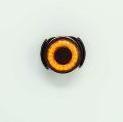 Actual product image Toad toad eye