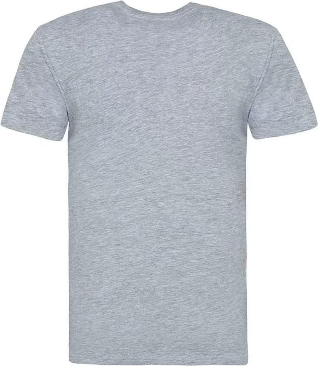 Produktbild Awdis 100 TShirt (L)