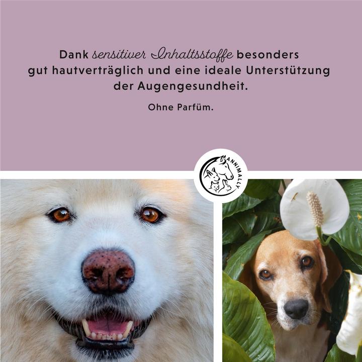 Produktbild Annimally Augenpads (Hund, Katze)