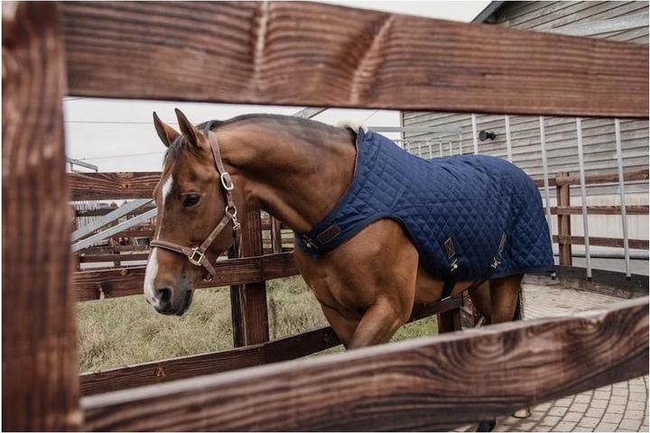 Produktbild Kentucky Horsewear Walkerdecke 160g (155 cm)