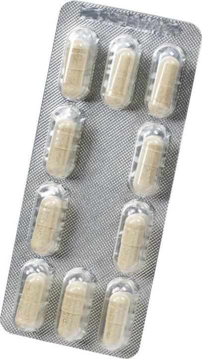 Image du produit Floradix Fer et B 12 Vegan (1 pièce(s), Capsules, 37 g)