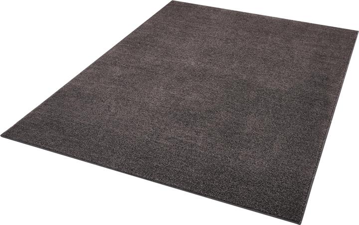 Actual product image Hanse Home Pure (200 x 300 cm)