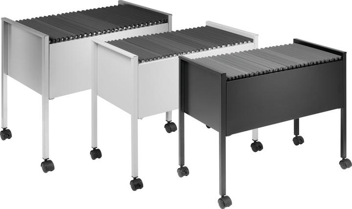 Image du produit Durable CHARIOT POUR DOSSIERS SUSPENDUS ECONOMY 80 A4 1 PC 309501 (65.5 x 37 x 59.5 cm)