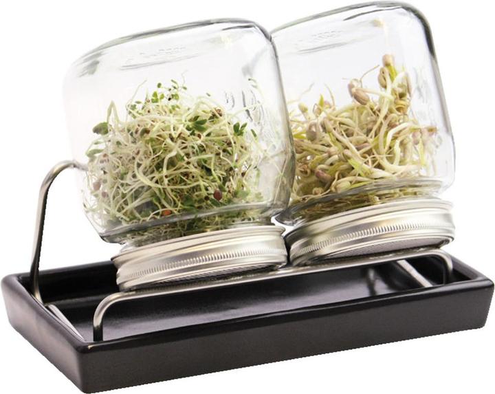 Produktbild Eschenfelder Sprossenglas
