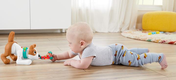 Immagine prodotto Fisher-Price Cane gattonante Bello