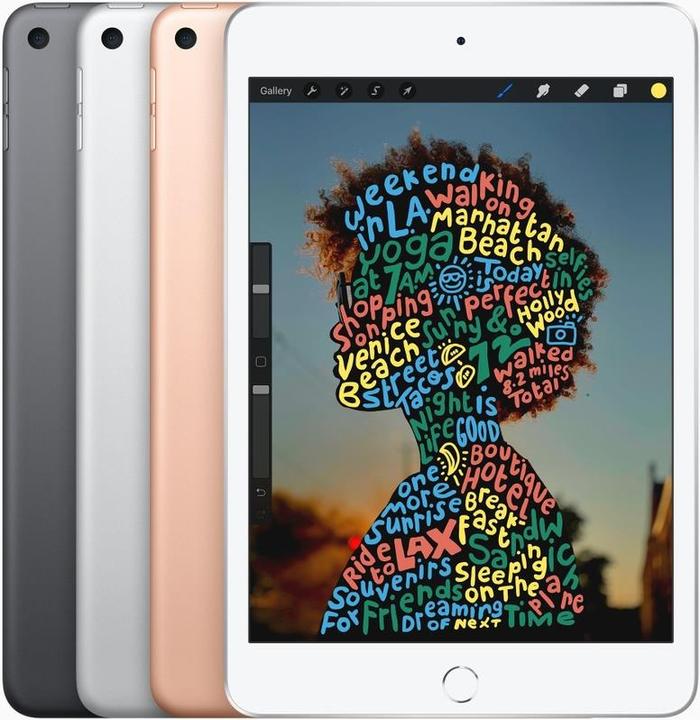 Actual product image Apple iPad mini 2019 (5. Gen) (4G, 7.90", 256 GB, Space grey)