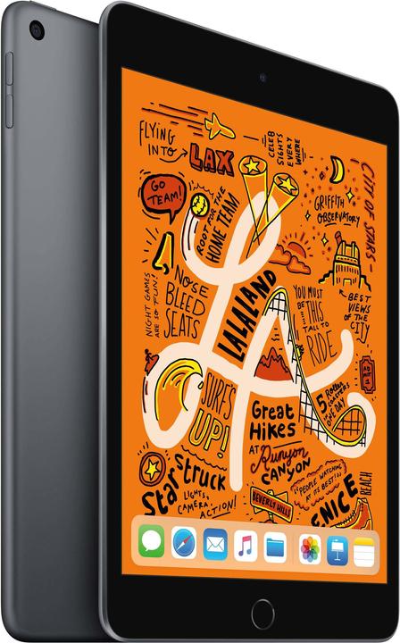 Apple iPad mini 2019 (5. Gen) (nur WLAN, 7.90", 256 GB, Space Grey)