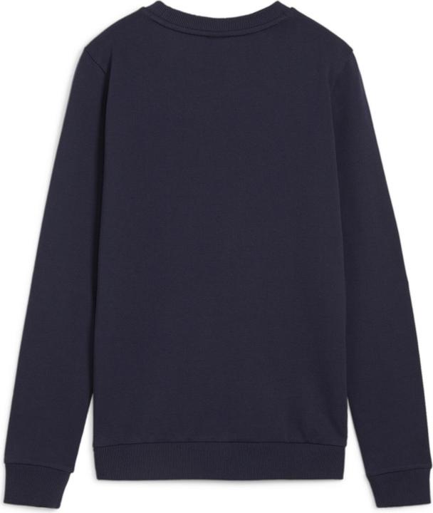 Actual product image Puma teamGOAL Casuals Crew Neck Sweat Wmn (S)