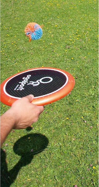 Actual product image Schildkröt Ogo