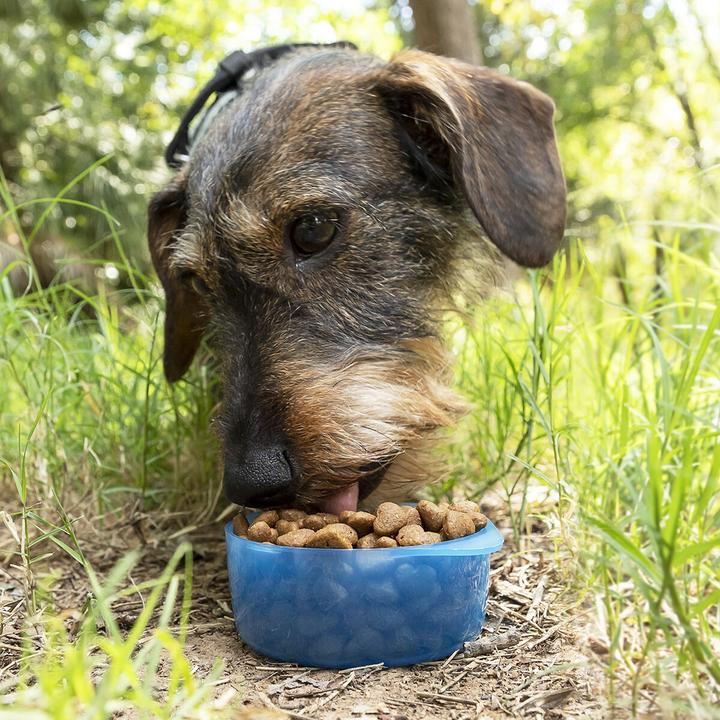 Produktbild InnovaGoods Tragbare Wasserflasche und Futternapf für Hunde (0.03 l)