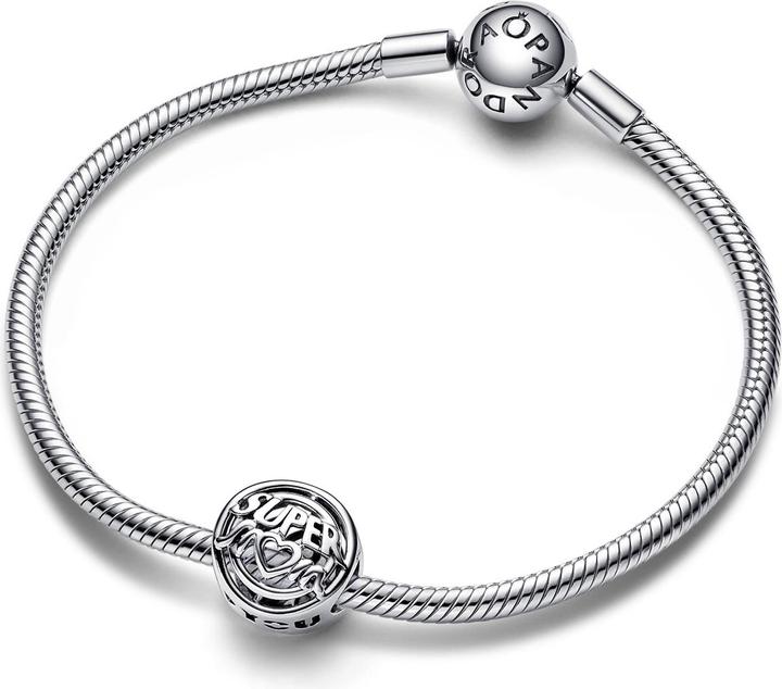 Actual product image Pandora Moments (Silver 925)