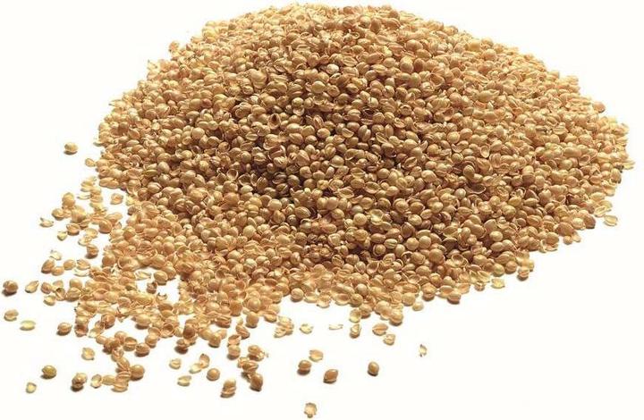 Immagine prodotto Billerbeck Sacchetto di ricarica miglio