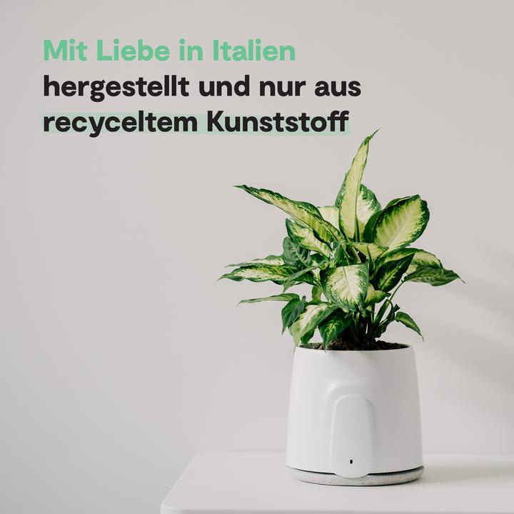 Image du produit Vitesy Natede Smart (20 m²)