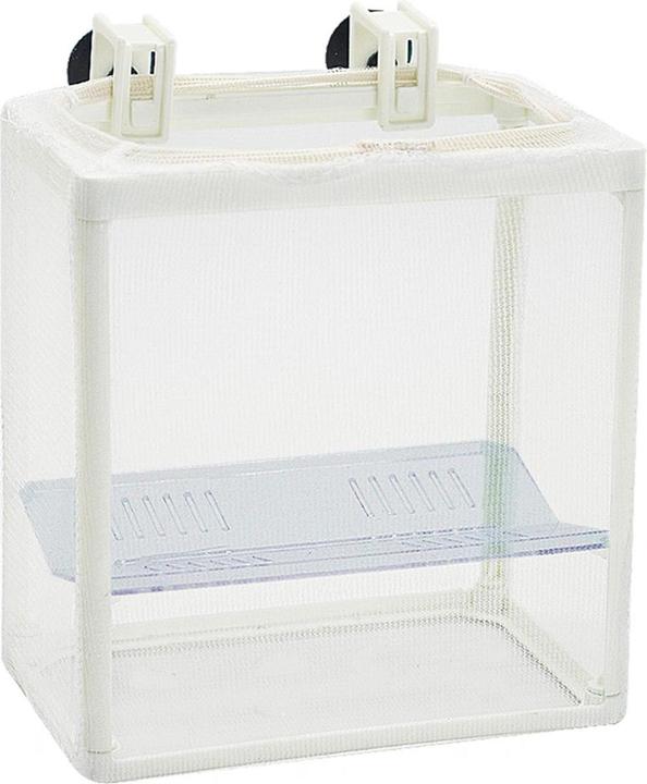 Image du produit EBI Filet pondoir avec ventouse