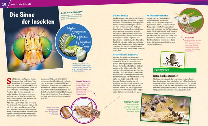 Produktbild Tessloff WAS IST WAS Band 30 Insekten. Überlebenskünstler auf sechs Beinen (Deutsch, Alexandra Rigos, 2018)