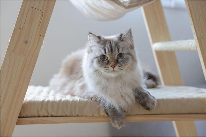 Produktbild Kerbl Kratzbaum Ladder für Katzen (134 cm, Beige)