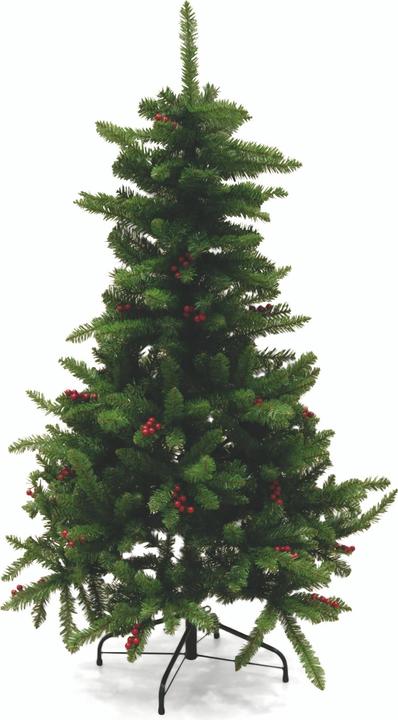Actual product image Galileo Albero (150 cm)