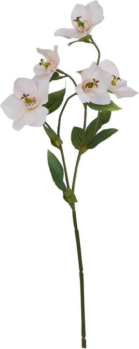 Immagine prodotto Hill Interiors The Natural Garden Collection Elleboro Fiore Artificiale (47 cm)