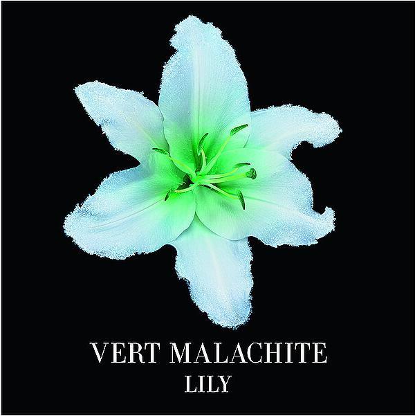 Actual product image Giorgio Armani Vert Malachite (Eau de parfum, 50 ml)