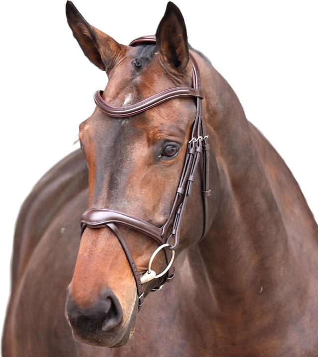 Image du produit Velociti - Bride avec noseband pour chevaux ELITE