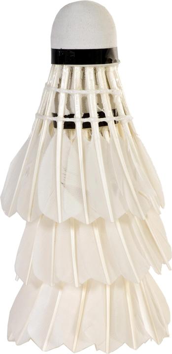 Image du produit Sport X RS070 3 pièce(s) Blanc