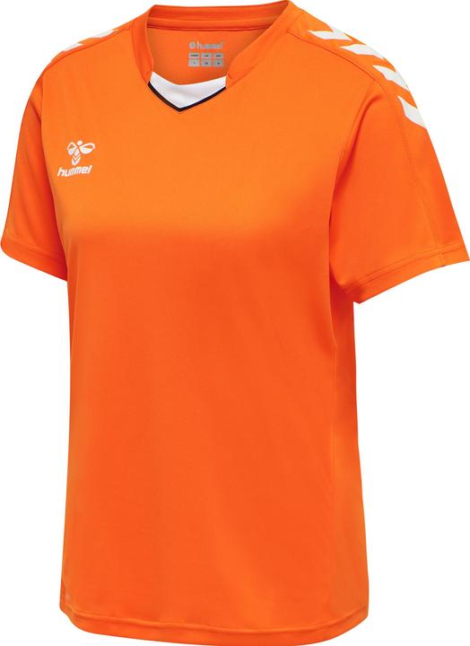 Tigre orange