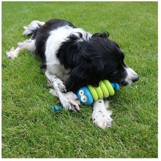 Immagine prodotto EBI Coockoo Giocattolo per cani Larry (Cane da snack)
