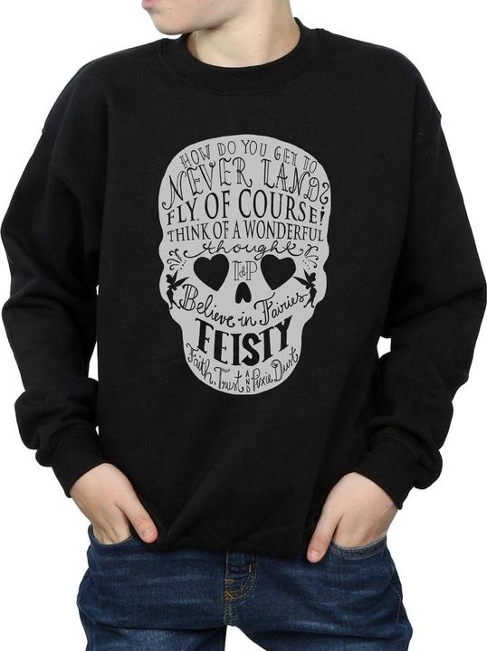 Actual product image Disney Boys Tinker Bell Skull Sweatshirt (140, 146)
